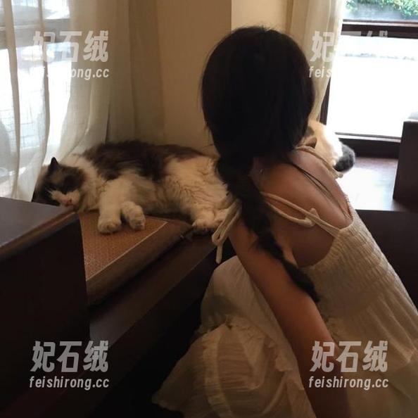 安卓版本的hlw是个“黑洞”，一进来就再也出不来，心疼自己。