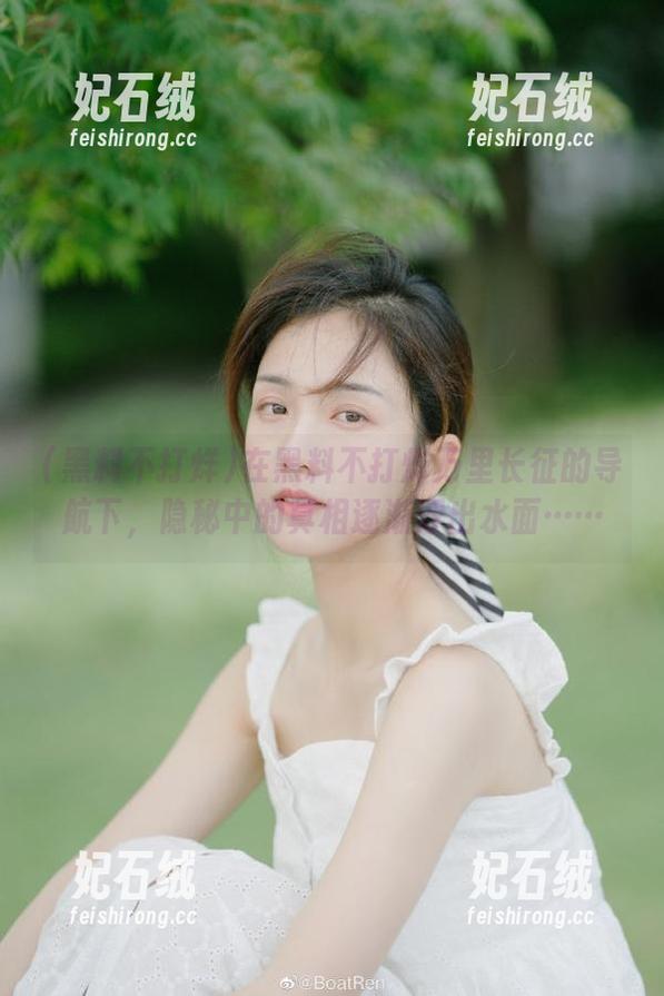 黑料不打烊 在黑料不打烊万里长征的导航下,隐秘中的真相逐渐浮出水面……