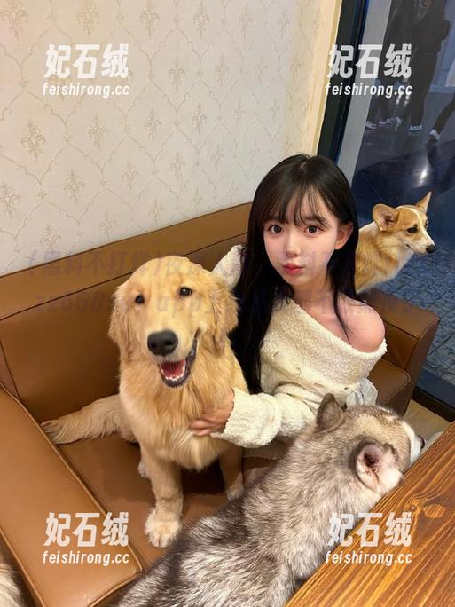 夜深人静，黑料不打烊tttzzz668su，app上线后我都不敢熬夜了！